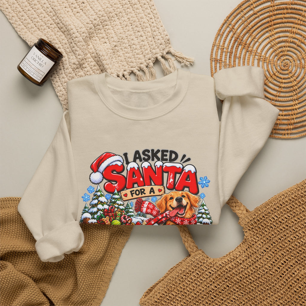 I Asked for A Longer Walk Christmas Crewneck Sweatshirt